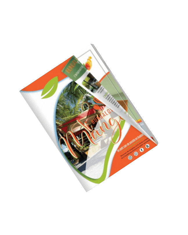 catalogue.gif