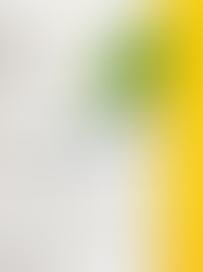 Bien choisir sa typographie pour une image de marque.