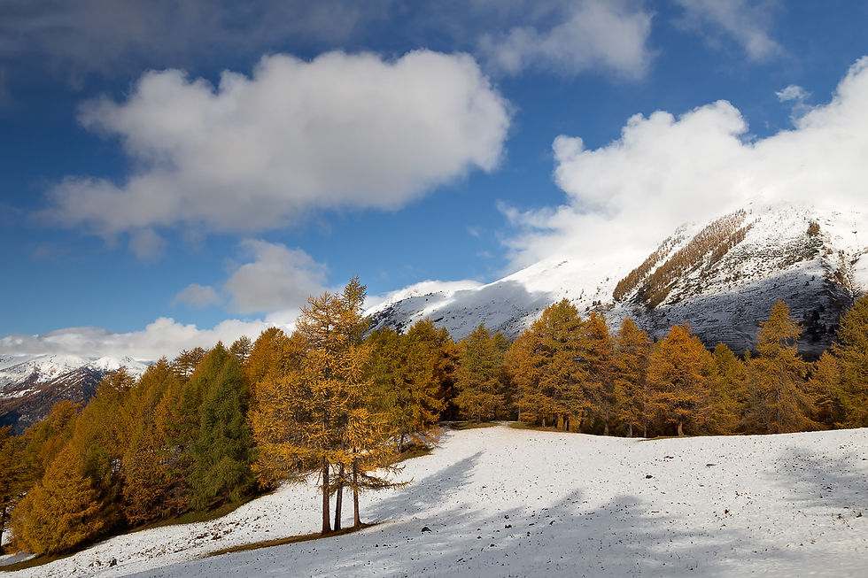 Parco Orsiera Rocciavrè Piemonte
