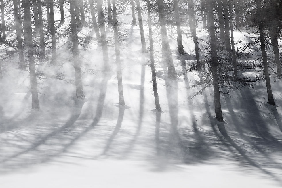 Parco Orsiera Rocciavrè Piemonte