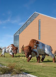 Project Tour: Bison Ridge Recreation Center