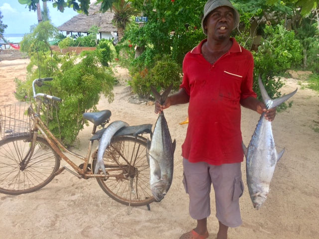 Fresh Fish