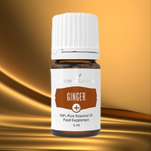 Ätherisches Öl Ginger+ von Young Living – bernsteinfarbene Flasche auf goldenem Hintergrund, würziges Plus-Öl für Verdauung, Wärme und innere Kraft, erhältlich im Zukunfts-Impuls-Shop.