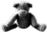 Teddy bear Courtney Williamson Milford
