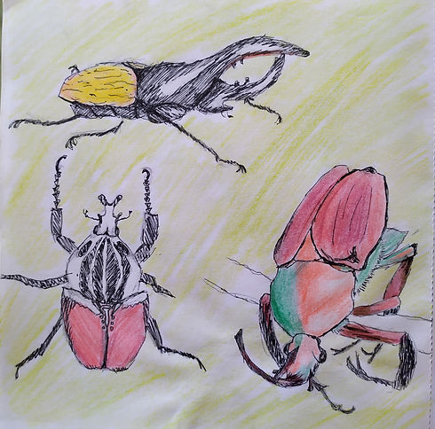 bug study.jpg