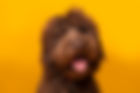 iStock-467563567.jpg