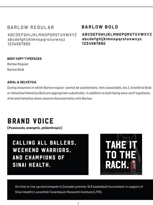 Raptor-for-Research---Styleguide_V8-2_edited.jpg