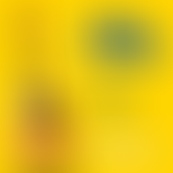 Now offering guitar lessons in West LA!