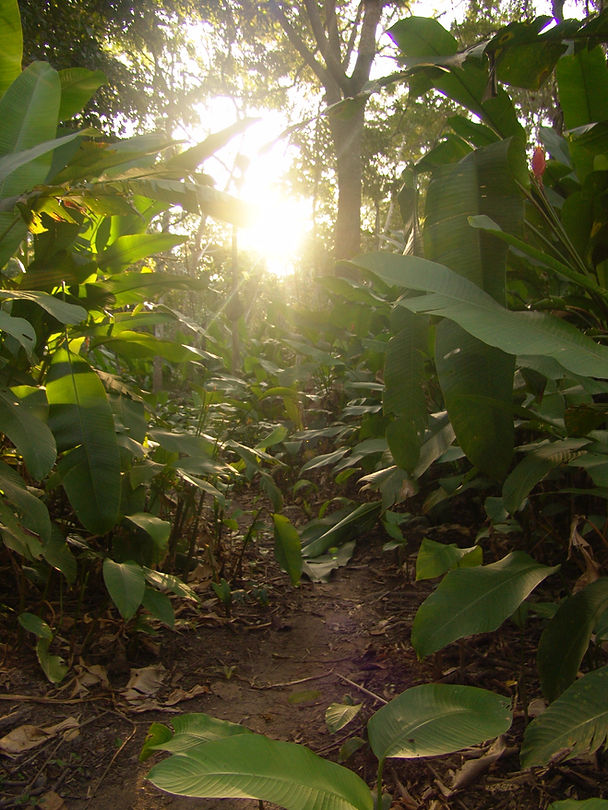 DSC05953_edited.jpg