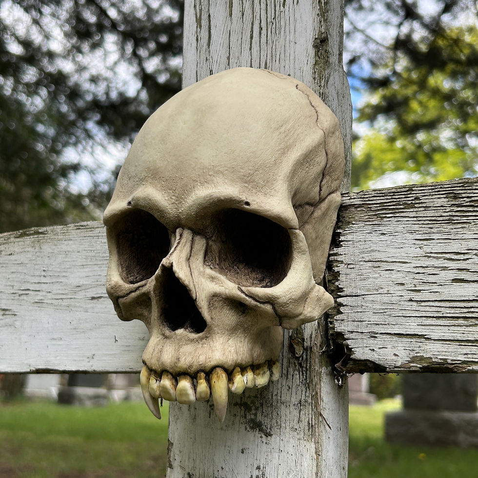 Vampire Skull Wall Hanging Art and Gothic Home/Halloween Decor