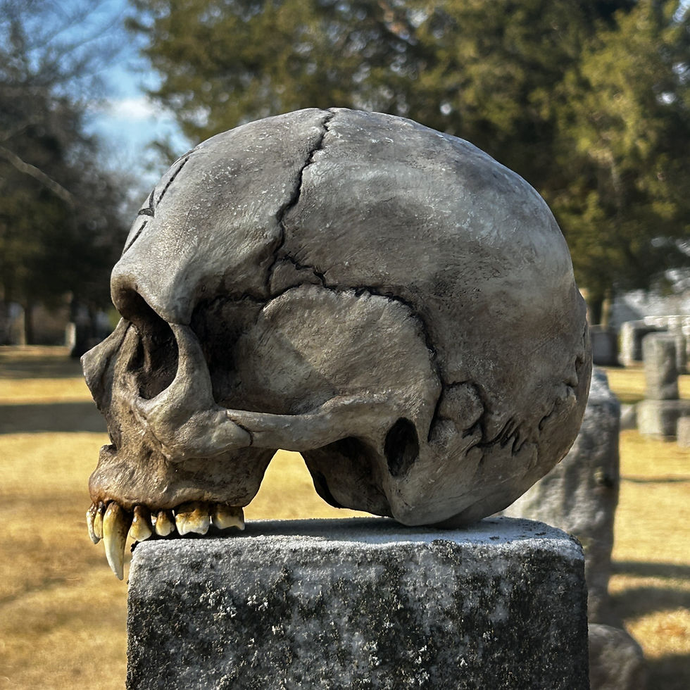 Thumbnail: Pentagram/Pentacle Engraved Vampire Skull