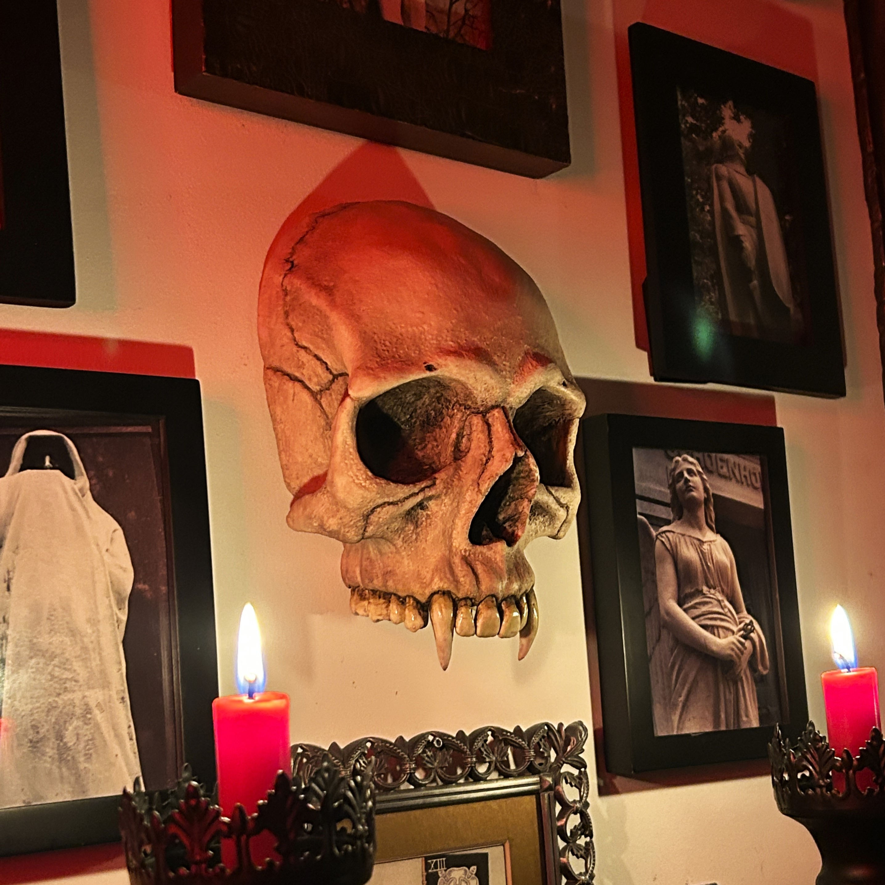 Vampire Skull Wall Hanging Art and Gothic Home/Halloween Decor