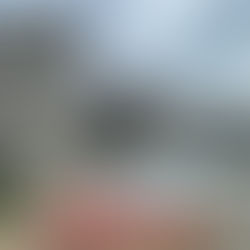 雲岫-八月工程進度