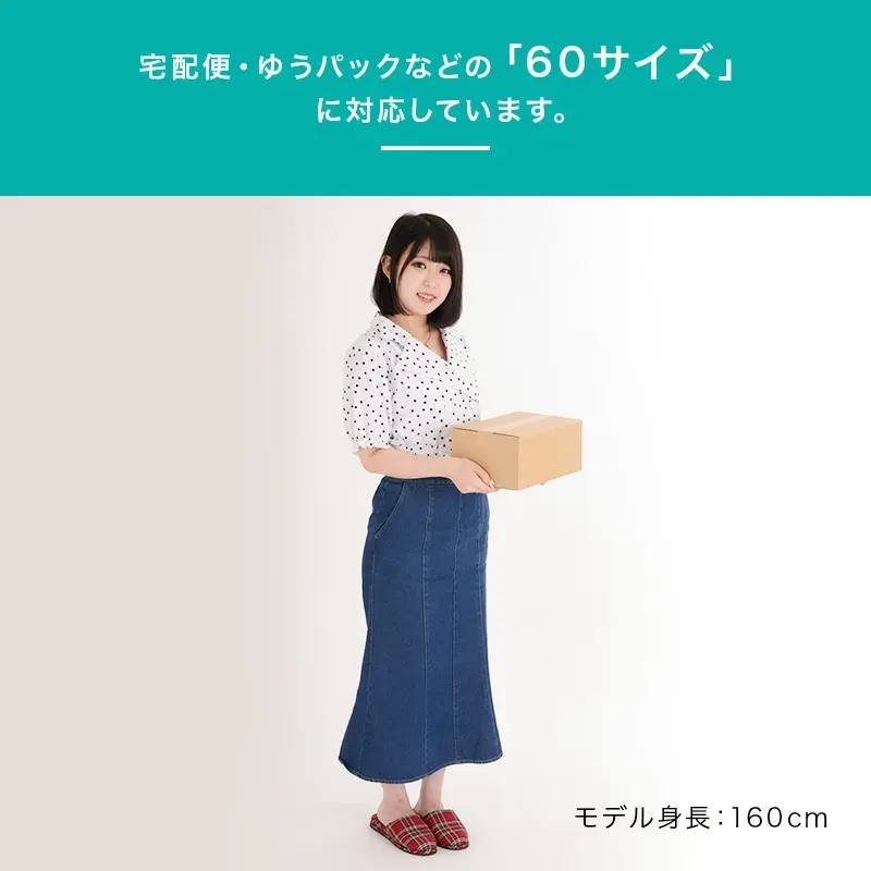 サムネイル： 定型段ボール60