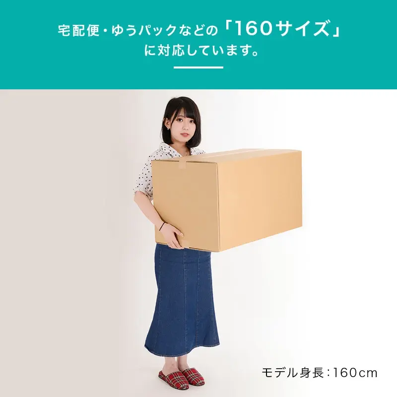 サムネイル： 宅配160ダンボール