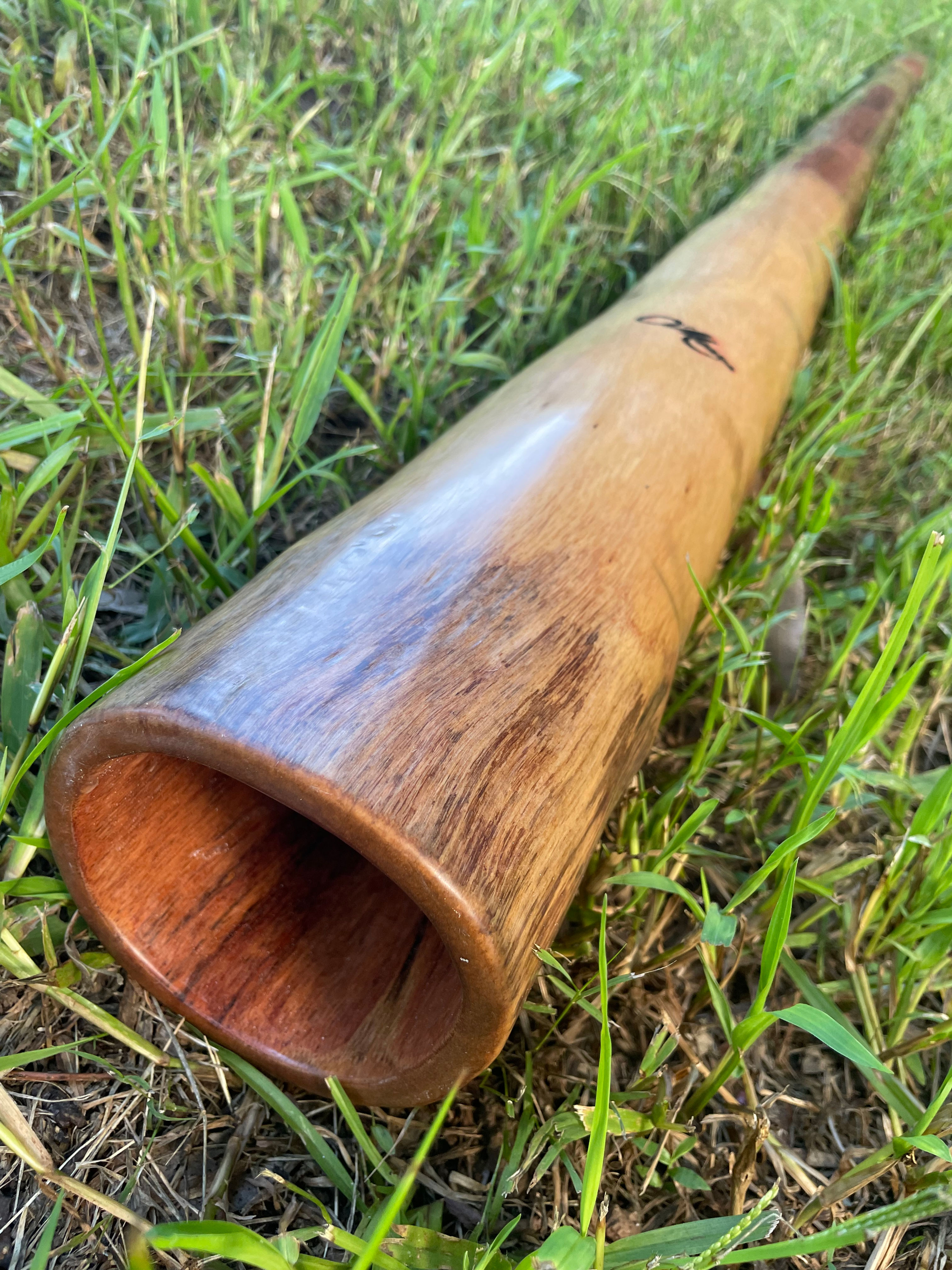 Key "C" O'Meara Didgeridoo 312