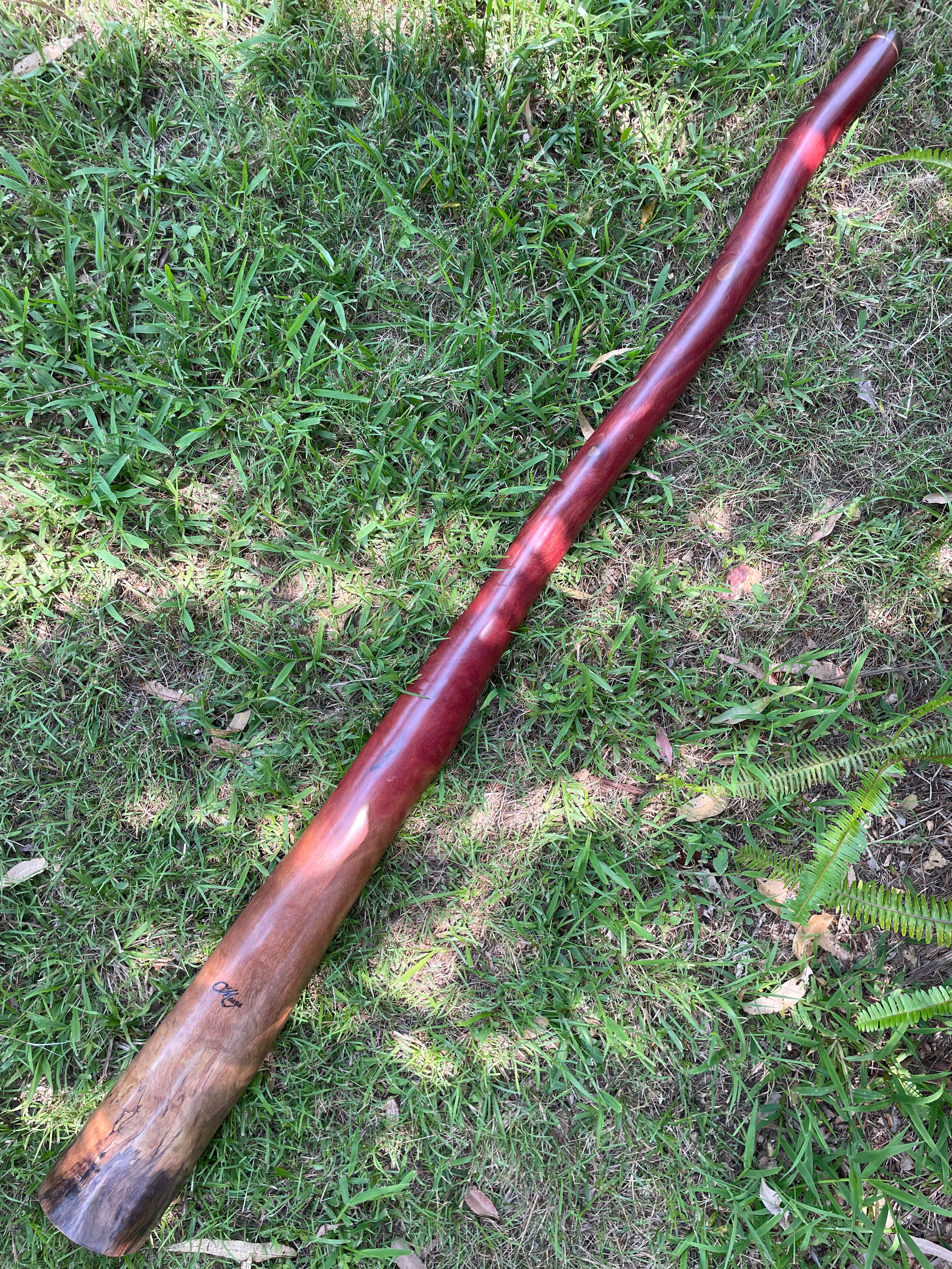 *SOLD PENDING* Key "D" O'Meara Didgeridoo 281
