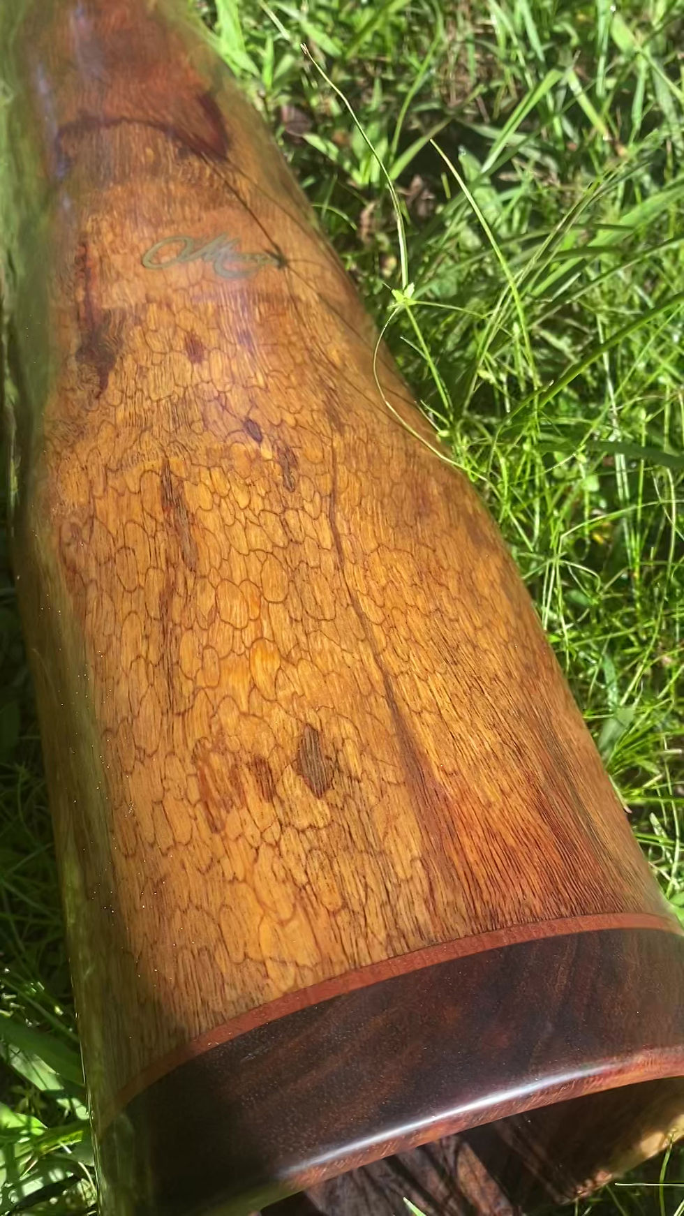 Thumbnail: hayden C deluxe custom build