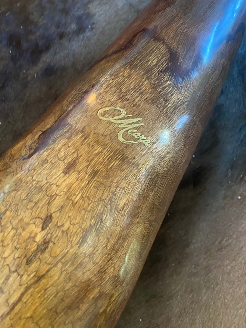 Thumbnail: hayden C deluxe custom build