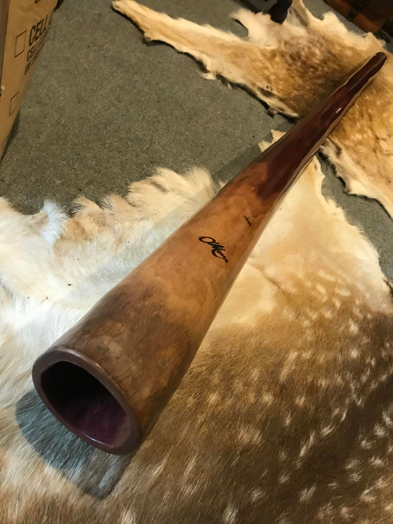 KEY " D# " O'Meara Didgeridoo