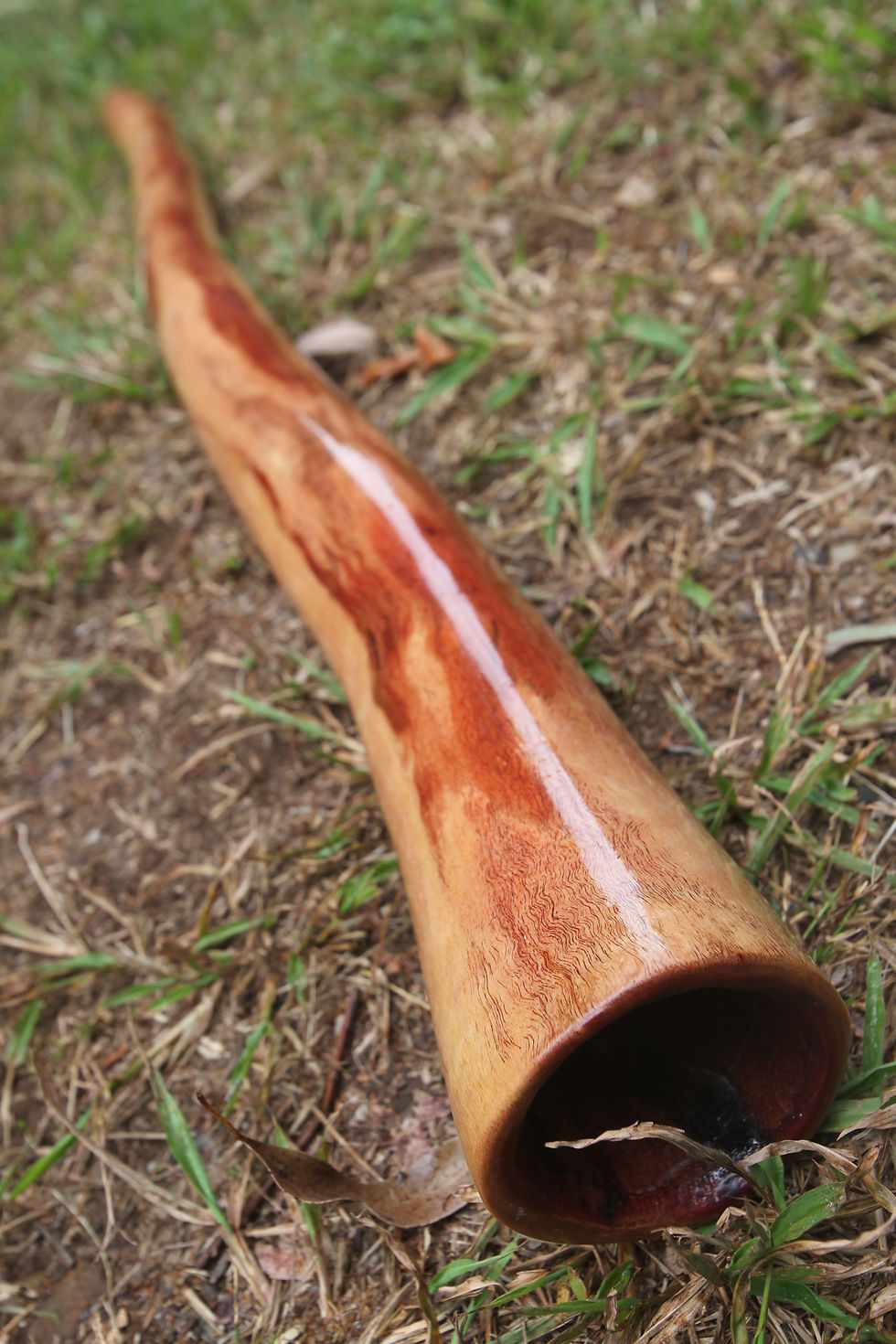 Thumbnail: Key  " D# "  Budget didgeridoo