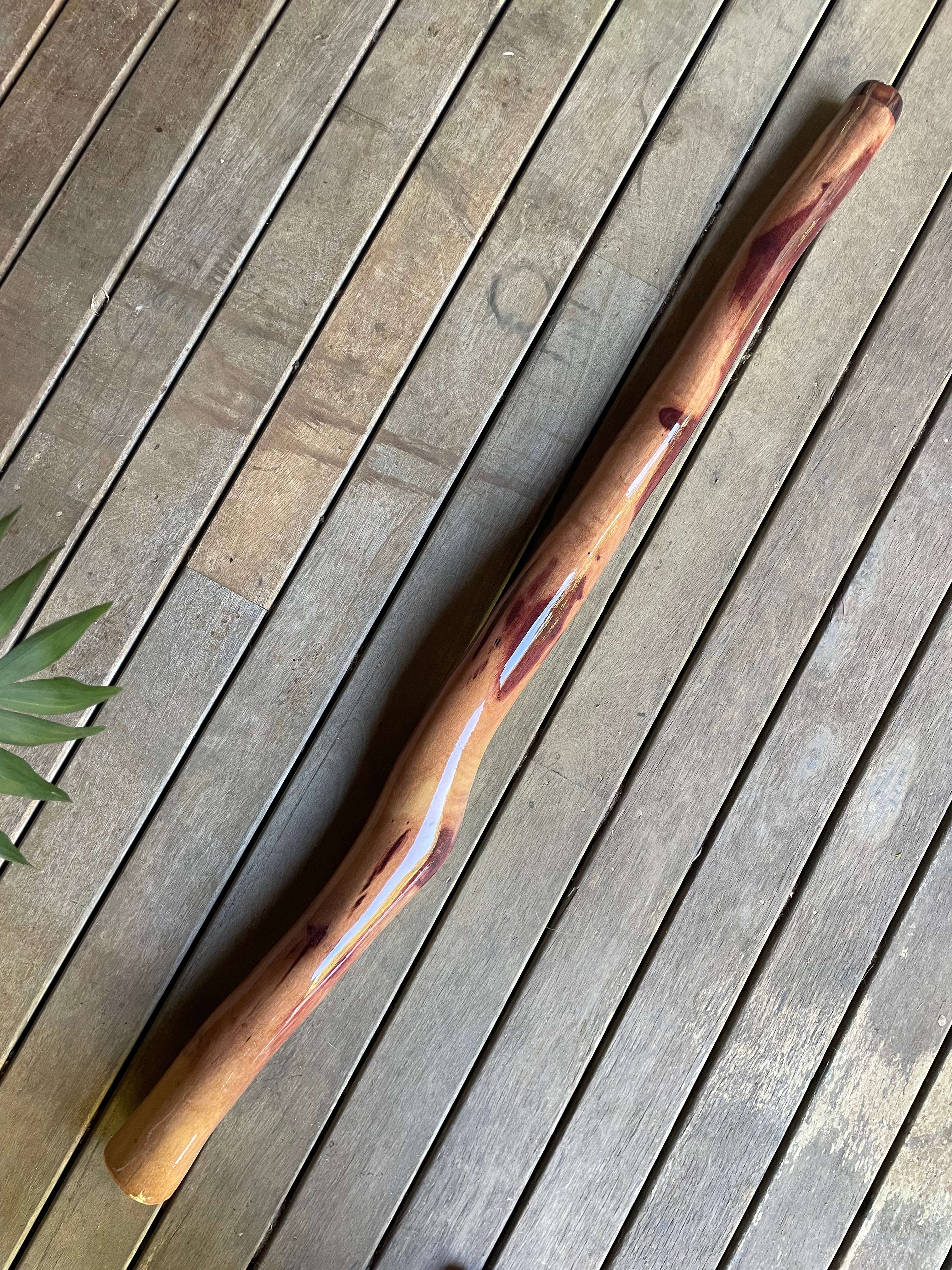 Key "D" O'Meara Budget Didgeridoo 043