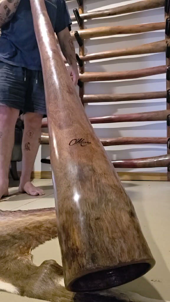 Thumbnail: Key D O'Meara Didgeridoo 30