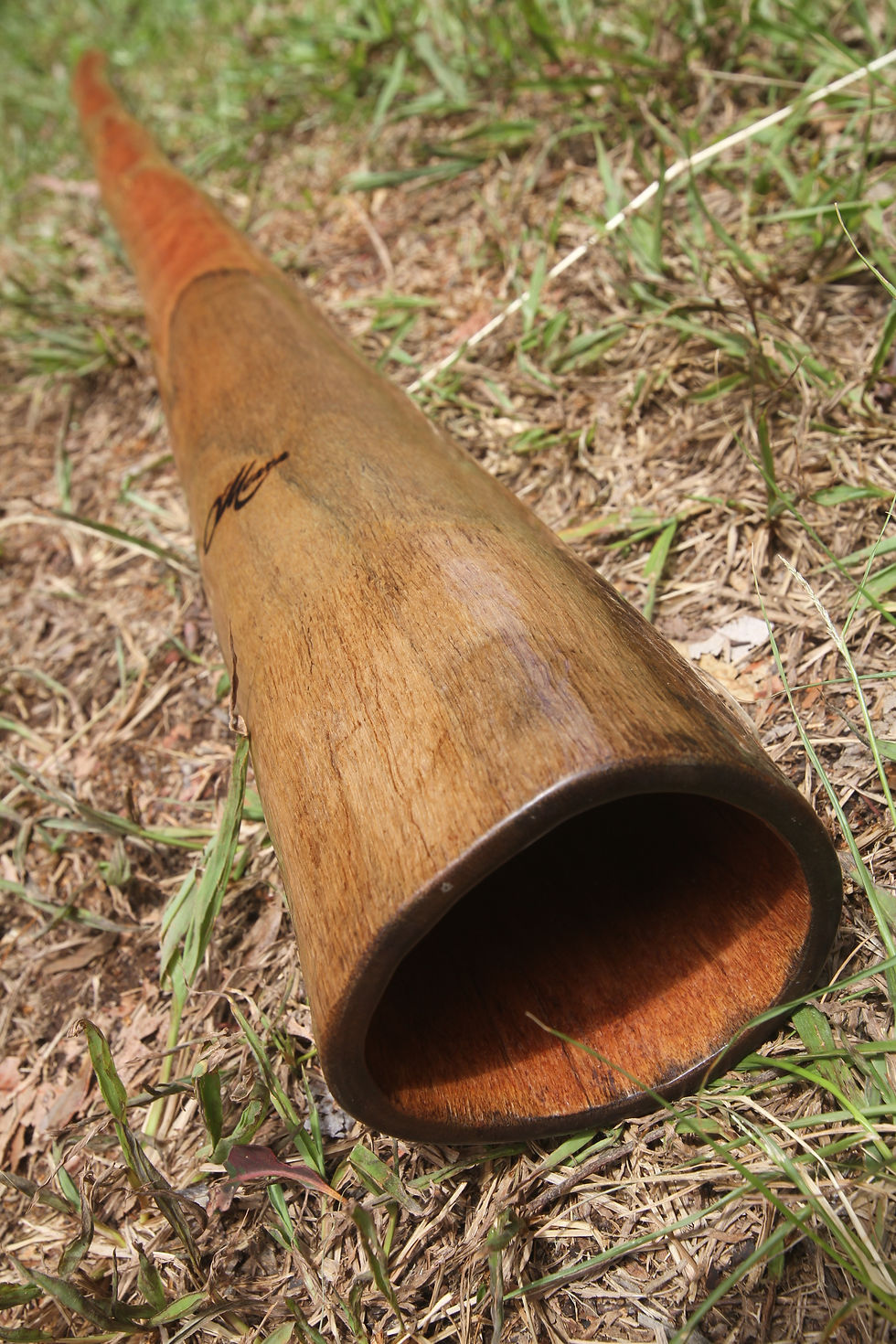 Thumbnail: Key  "D"  O'Meara Didgeridoo