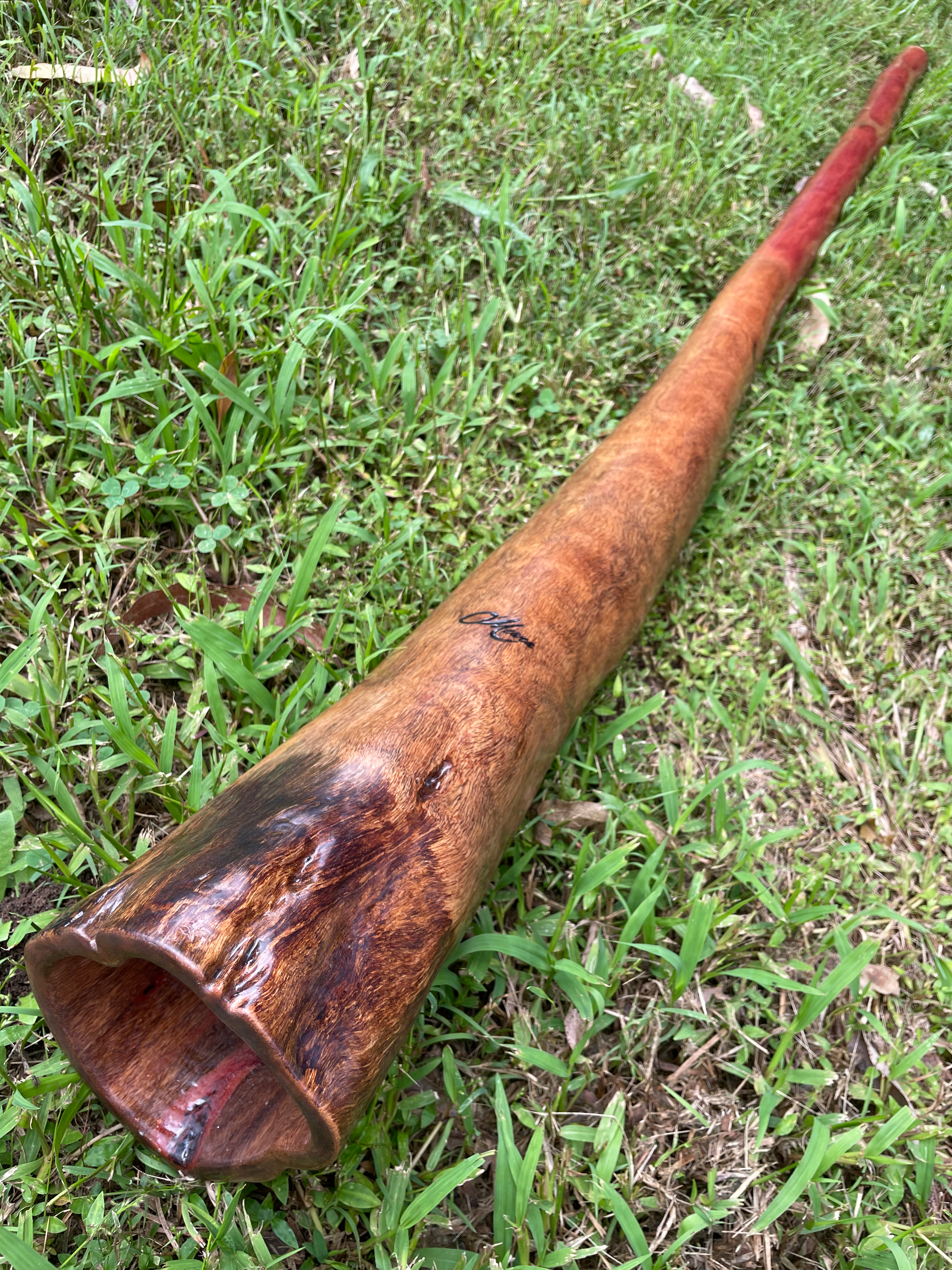 Key "D#" O'Meara Didgeridoo 242
