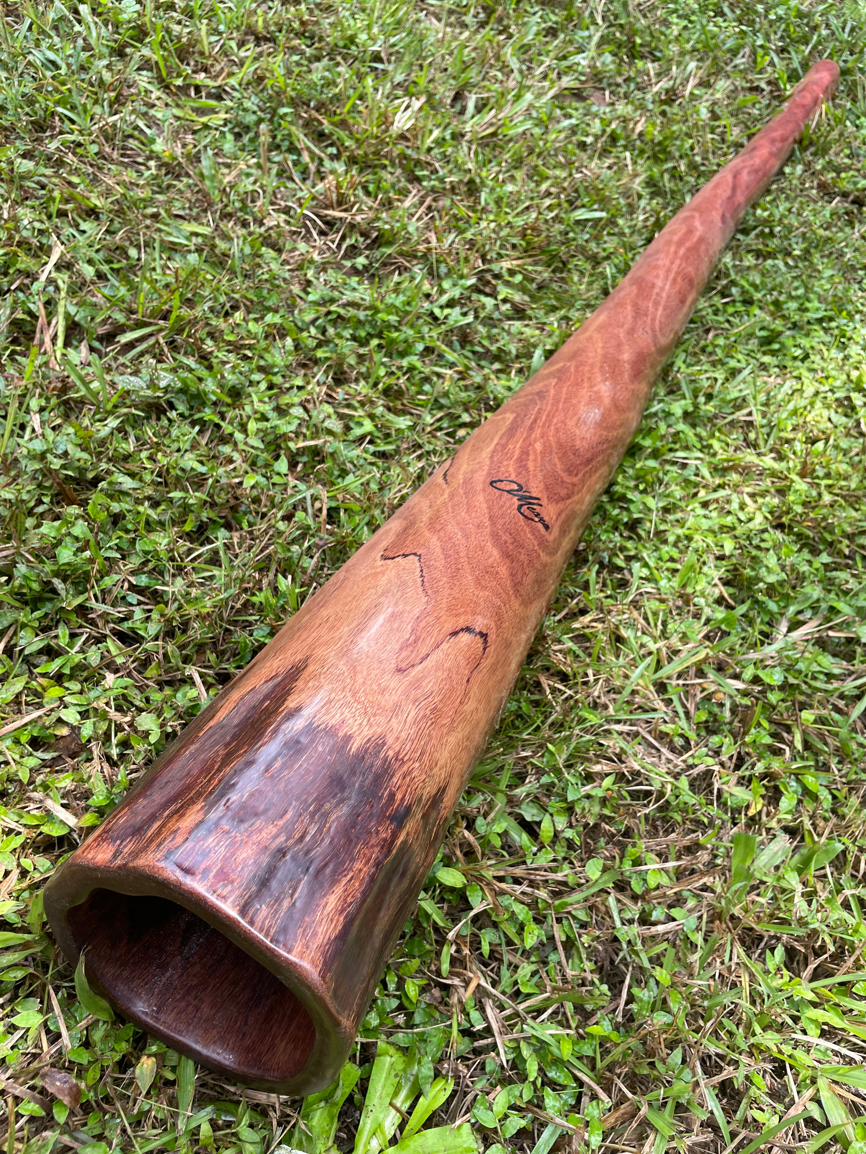 Key "D#” O'Meara Didgeridoo 323