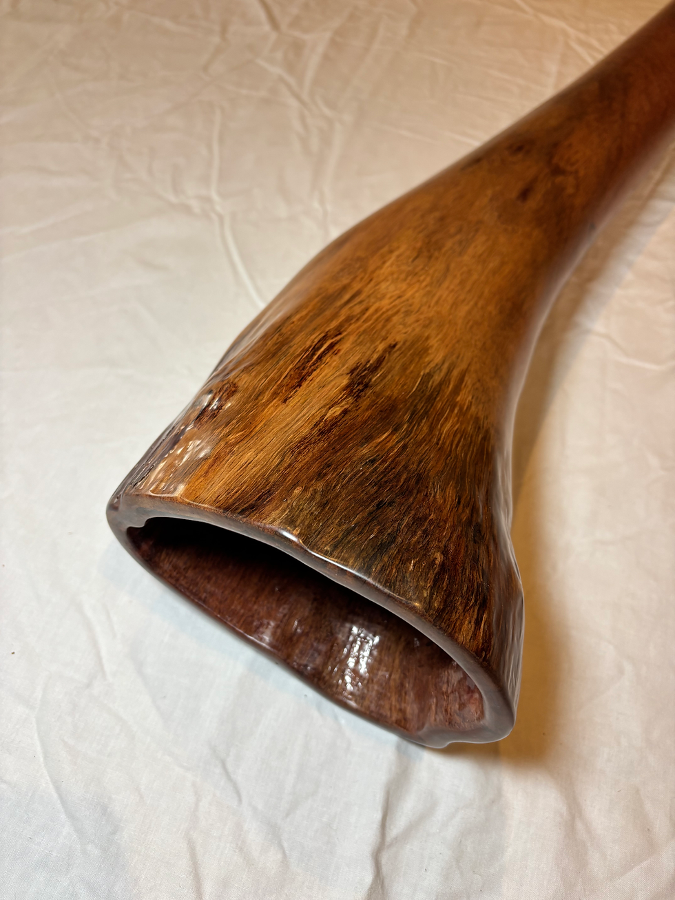 Thumbnail: Key B O'Meara Didgeridoo 39