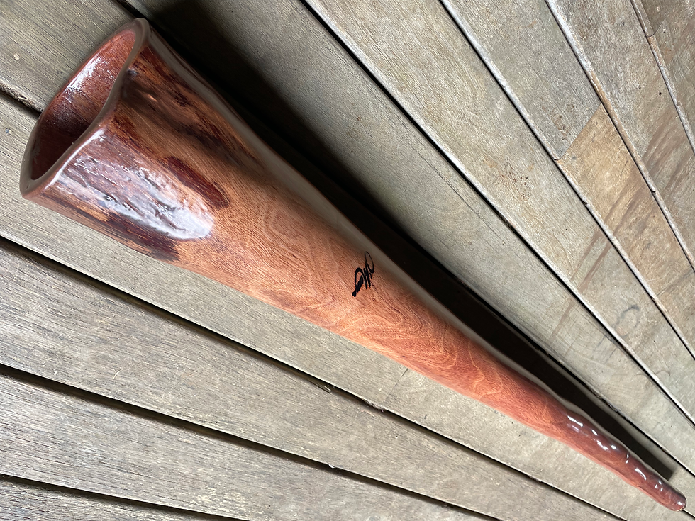 Thumbnail: Key "F" O'Meara Didgeridoo 031