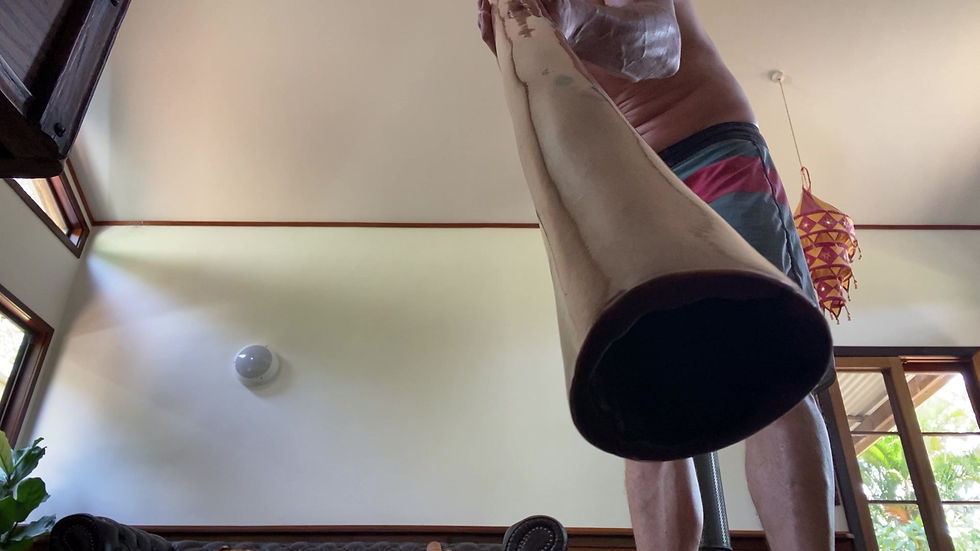 Thumbnail: Key "F" O'Meara Budget Didgeridoo 292