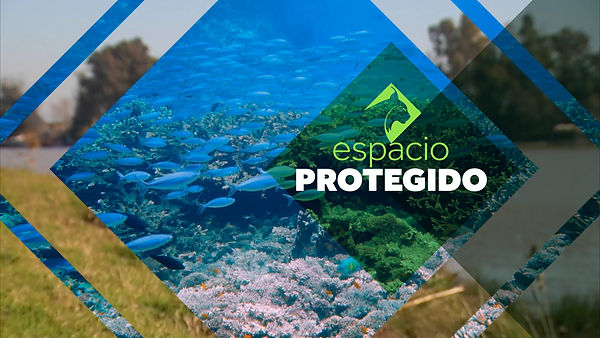 pantallazo espacio.jpg