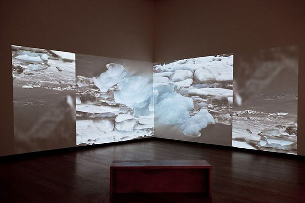Dawn Roe Orlando Museum Art 2016.jpg