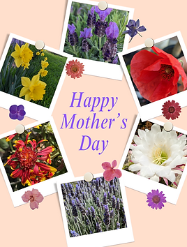 Mother's day.png