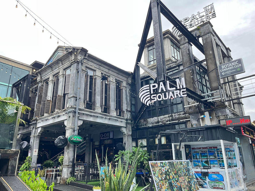 Palm Square Kata Beach