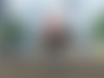 Are There Roblox Games Like GTA? A Deep Dive into the Chaos