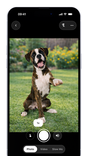 PetSnap: Helping Pets Look at the Camera, One Strange Sound at a Time