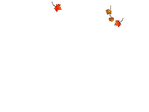 f25ba6718c4a07c646c73d9deea9508f.gif