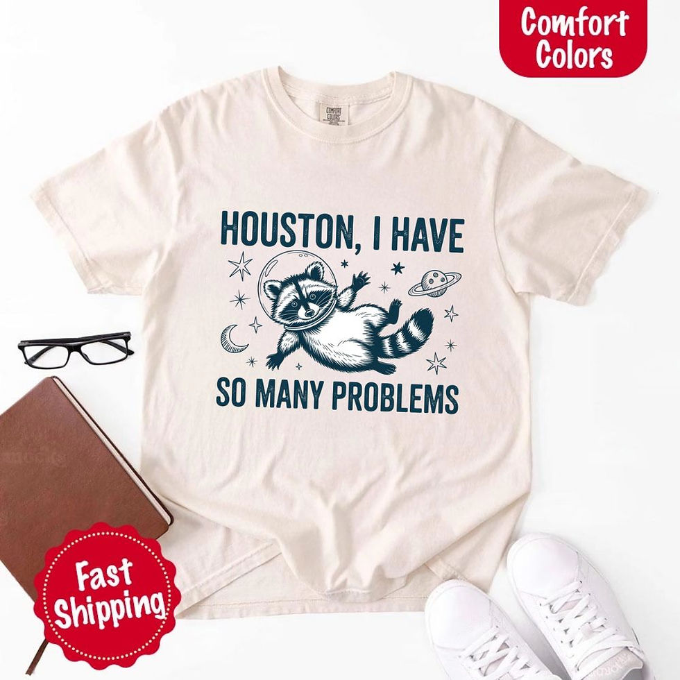 Thumbnail: Houston I Have So Many Problems Raccoon Comfort Co