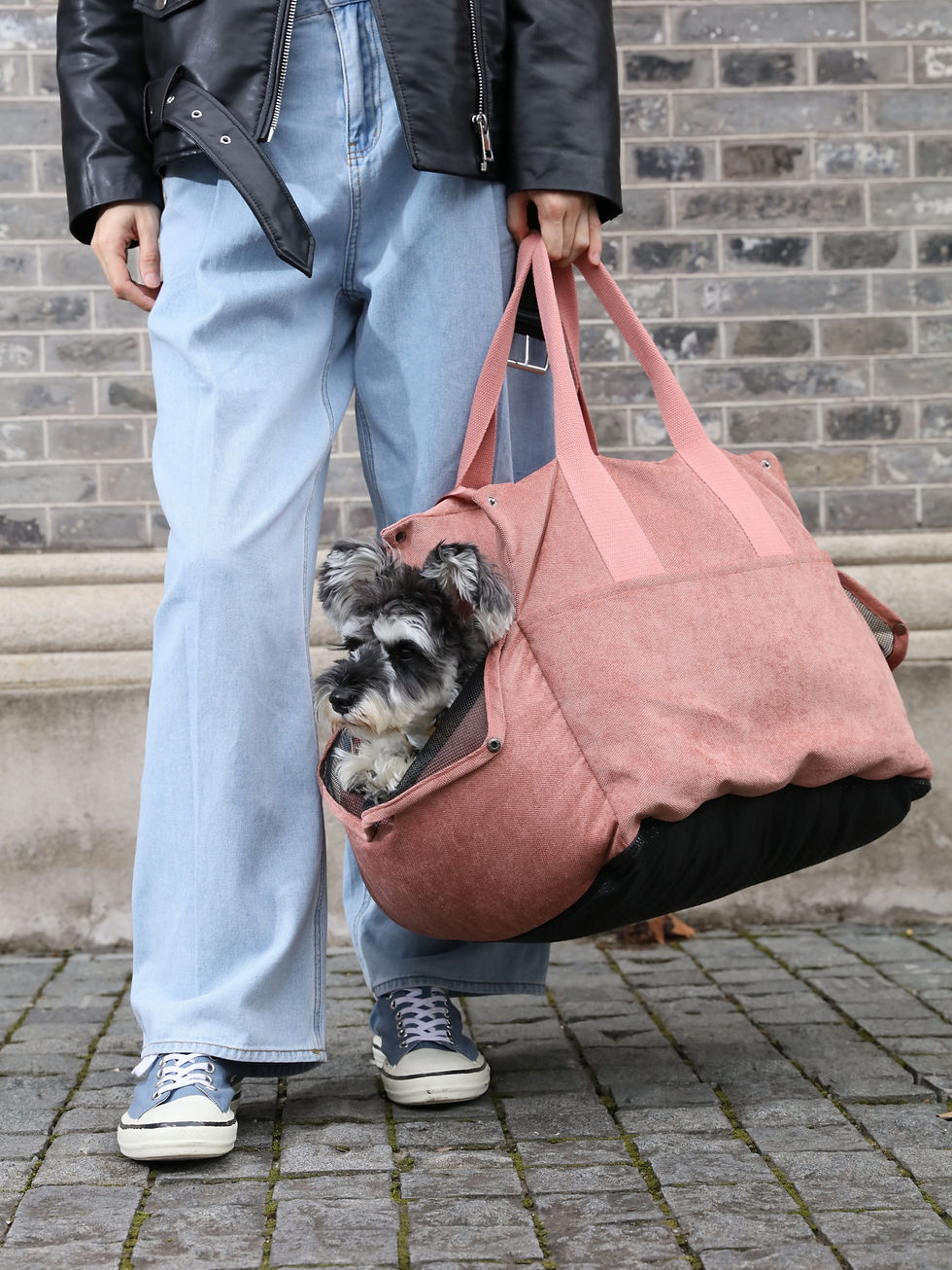 Thumbnail: Puff Guard Dog Car Seat - Camel