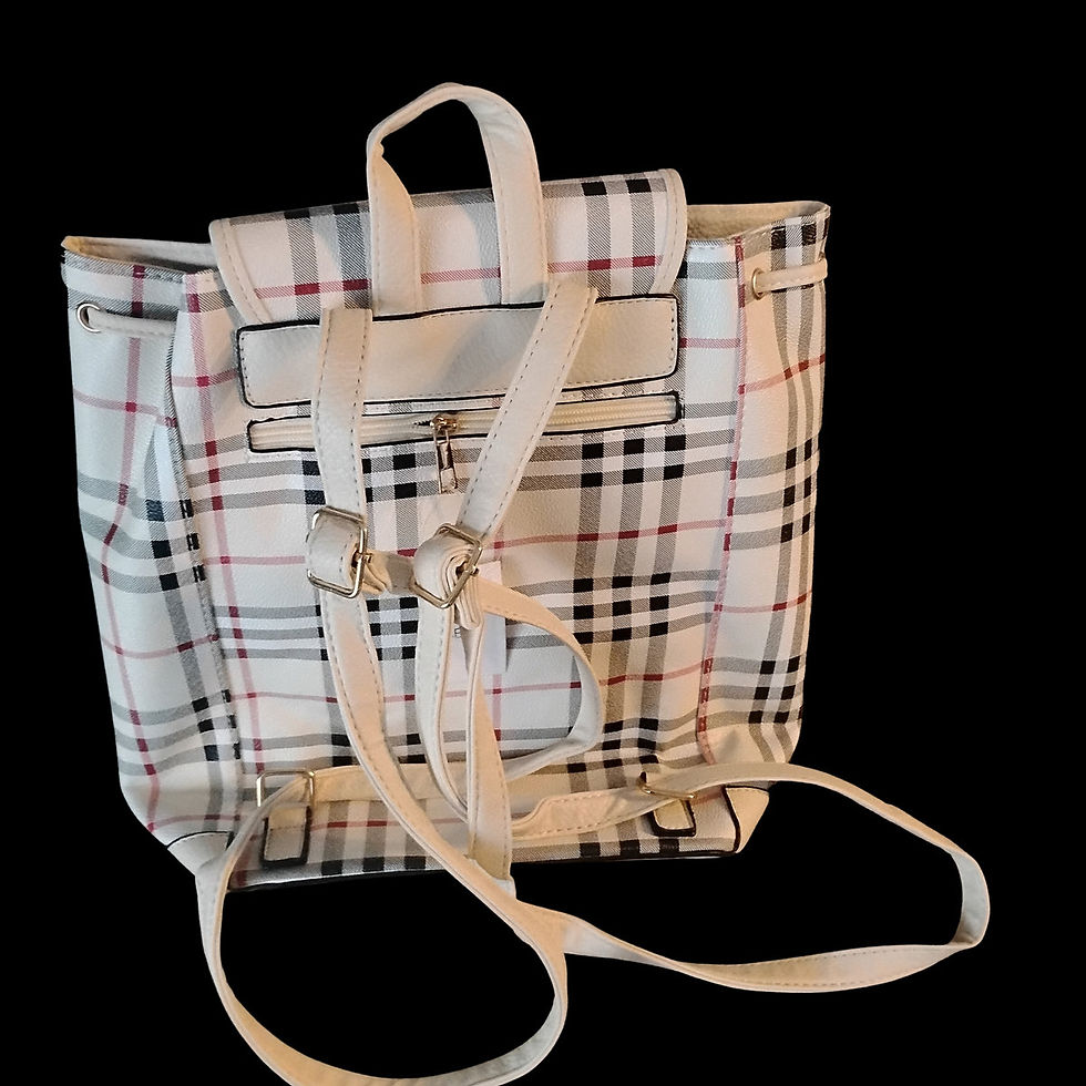 Another view of the Nu'Jants Stylish Backpack