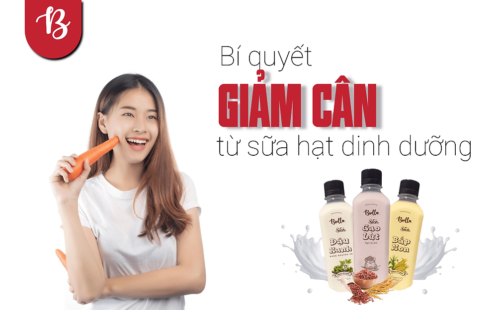 Giảm cân bằng sữa hạt dinh dưỡng- công dụng của sữa hạt