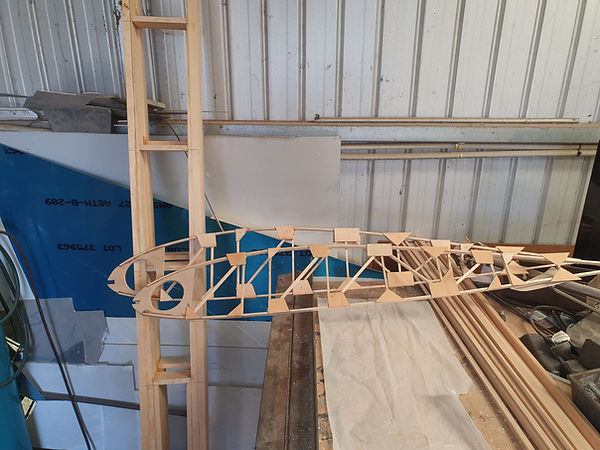 Wing ribs and basic outer panel spars