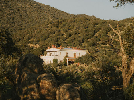 a white house sits on top of a hill surrounded by trees