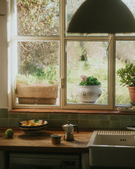 a potted plant sits on a window sill in a kitchen