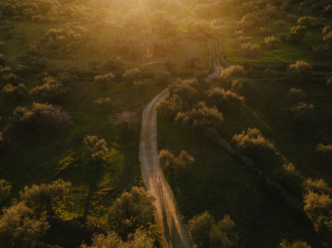 an aerial view of a person walking down a dirt road