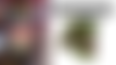 Peace Corps in Zaire Story - Simba and Tembo