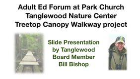 December 3, 2023 - Treetop Canopy Walkway Project at Tanglewood 